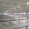 ILLUMINAZIONE PER ALLEVAMENTI LUXLED